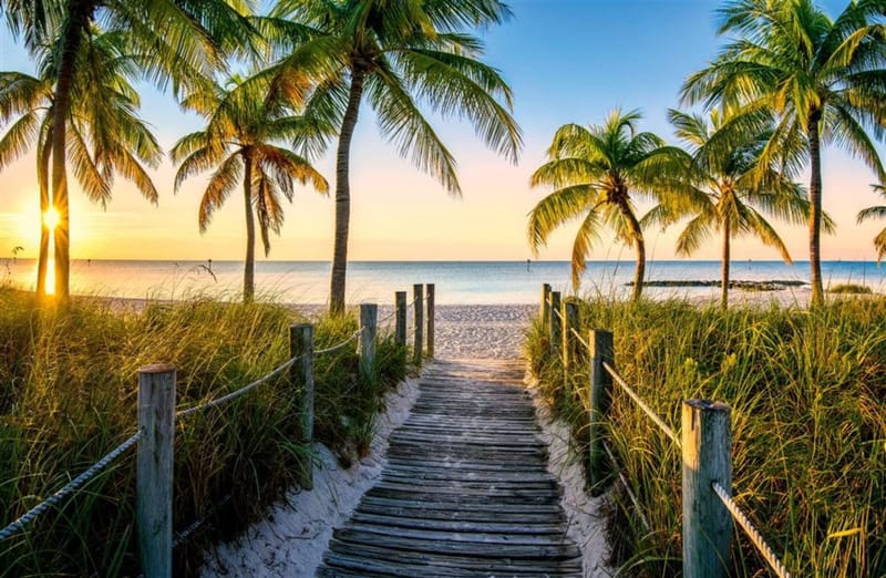 home-The LYFD Movement | Financial Freedom On Your Terms